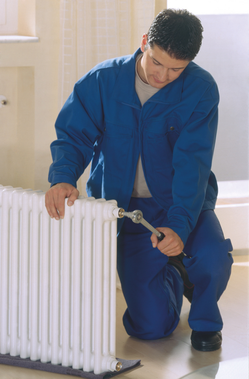 Photograph Zehnder Charleston Decorative radiator 