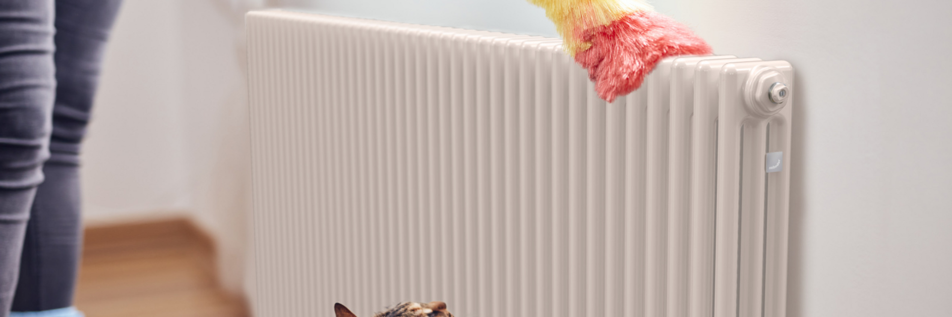 Key Visual Zehnder Charleston Decorative radiator Angled view