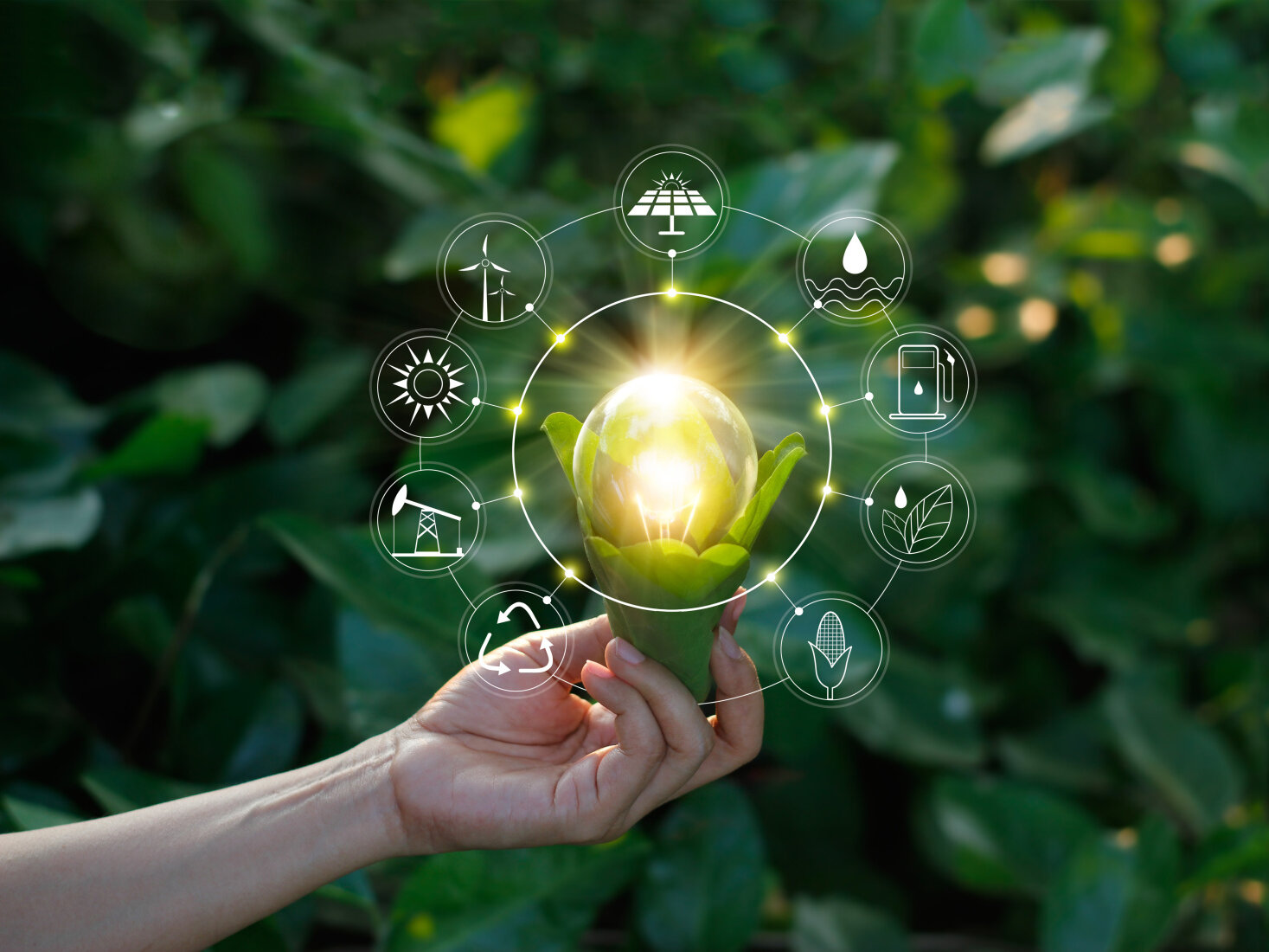 Hand holding light bulb against nature on green leaf with icons energy sources for renewable, sustainable development. Ecology concept. Elements of this image furnished by NASA.