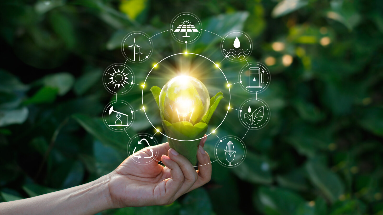 Hand holding light bulb against nature on green leaf with icons energy sources for renewable, sustainable development. Ecology concept. Elements of this image furnished by NASA.
