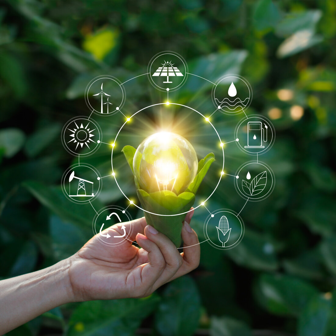 Hand holding light bulb against nature on green leaf with icons energy sources for renewable, sustainable development. Ecology concept. Elements of this image furnished by NASA.
