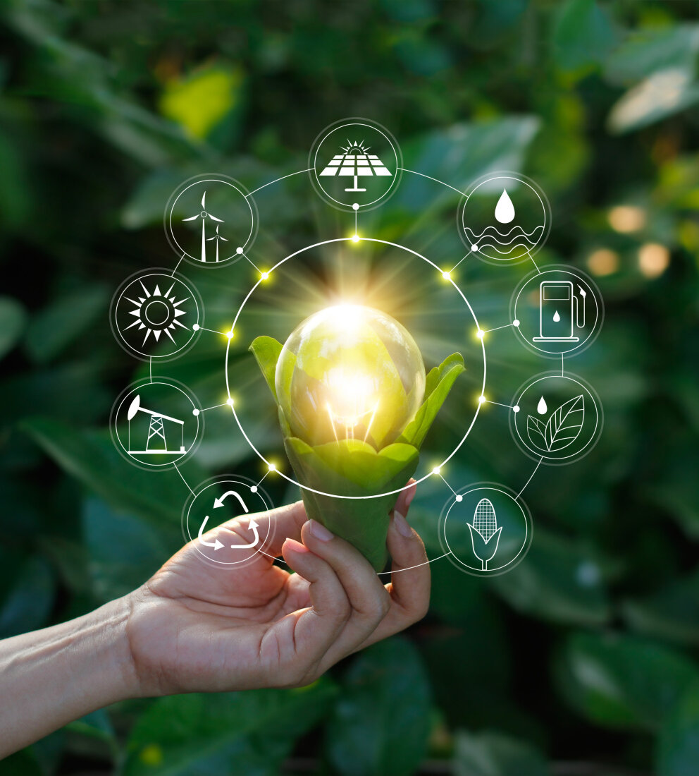 Hand holding light bulb against nature on green leaf with icons energy sources for renewable, sustainable development. Ecology concept. Elements of this image furnished by NASA.